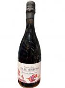 Casali Viticultori Colli di Scandiano Lambrusco Grasparossa Colle Ventoso Secco 0 (750)