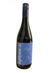 Pikasi Barbera 2021 (750ml) (750ml)